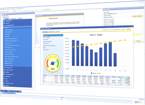 SAP_B1_Dashboards